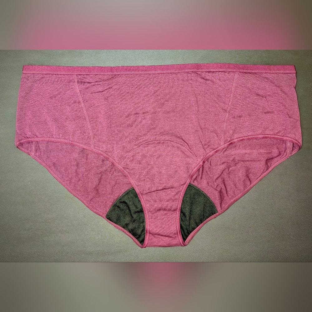 Aisle BOOST Brief - Leakproof High-Rise Period Undies with Adjustable Absorbency